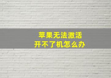 苹果无法激活开不了机怎么办