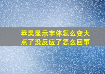 苹果显示字体怎么变大点了没反应了怎么回事