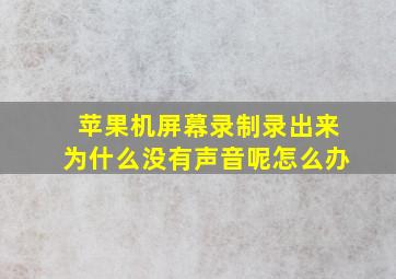 苹果机屏幕录制录出来为什么没有声音呢怎么办