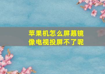 苹果机怎么屏幕镜像电视投屏不了呢