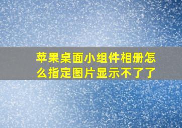 苹果桌面小组件相册怎么指定图片显示不了了