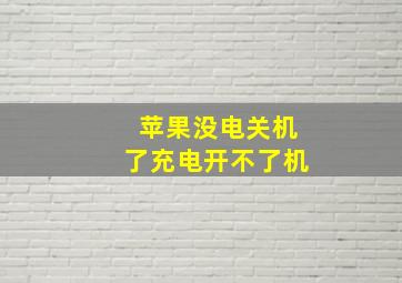 苹果没电关机了充电开不了机