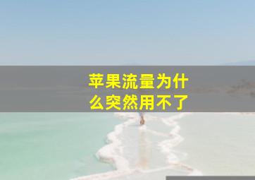 苹果流量为什么突然用不了