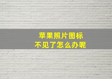 苹果照片图标不见了怎么办呢