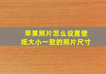 苹果照片怎么设置壁纸大小一致的照片尺寸