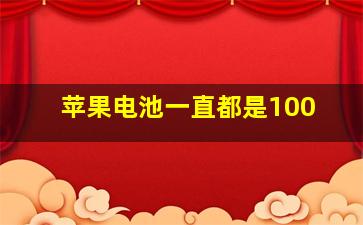 苹果电池一直都是100