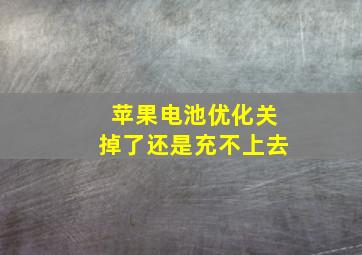 苹果电池优化关掉了还是充不上去