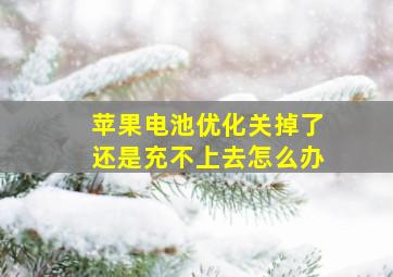 苹果电池优化关掉了还是充不上去怎么办