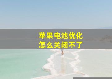 苹果电池优化怎么关闭不了