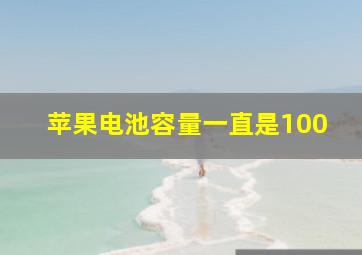 苹果电池容量一直是100