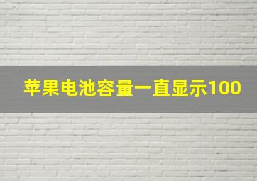 苹果电池容量一直显示100