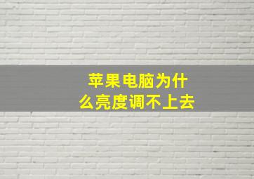 苹果电脑为什么亮度调不上去