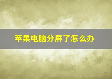 苹果电脑分屏了怎么办