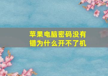 苹果电脑密码没有错为什么开不了机