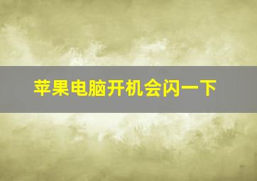 苹果电脑开机会闪一下