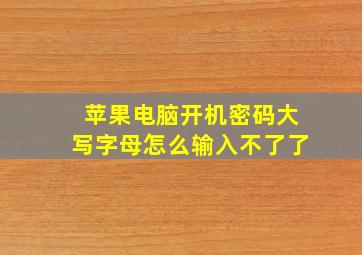 苹果电脑开机密码大写字母怎么输入不了了