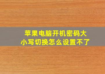 苹果电脑开机密码大小写切换怎么设置不了