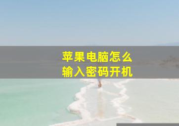 苹果电脑怎么输入密码开机