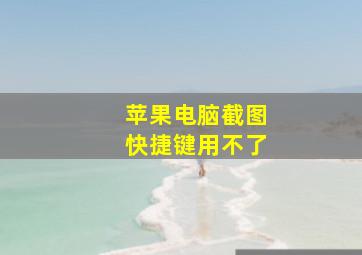 苹果电脑截图快捷键用不了