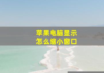 苹果电脑显示怎么缩小窗口