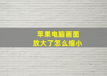 苹果电脑画面放大了怎么缩小