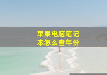 苹果电脑笔记本怎么查年份