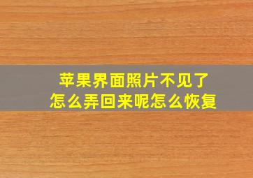 苹果界面照片不见了怎么弄回来呢怎么恢复