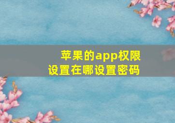 苹果的app权限设置在哪设置密码