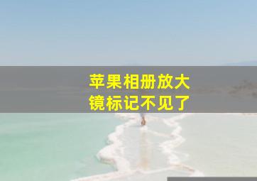 苹果相册放大镜标记不见了