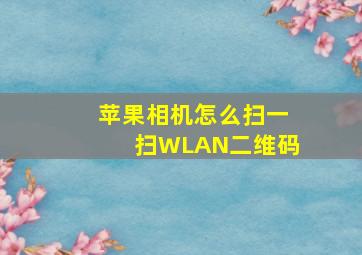 苹果相机怎么扫一扫WLAN二维码