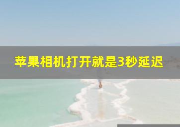 苹果相机打开就是3秒延迟