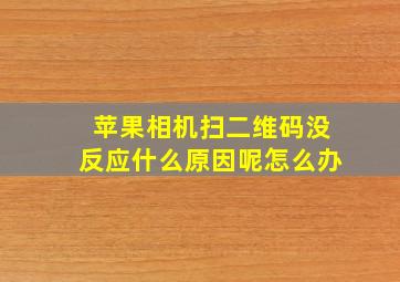 苹果相机扫二维码没反应什么原因呢怎么办