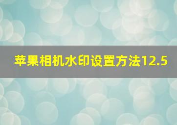 苹果相机水印设置方法12.5