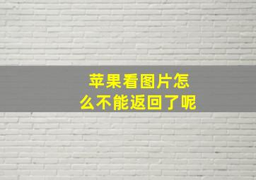 苹果看图片怎么不能返回了呢