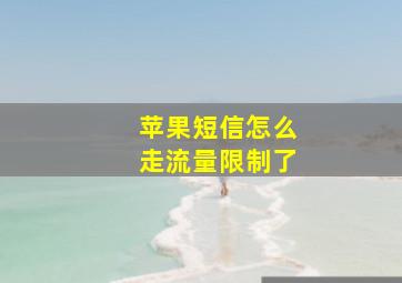 苹果短信怎么走流量限制了