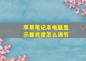 苹果笔记本电脑显示器亮度怎么调节