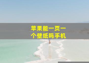 苹果能一页一个壁纸吗手机