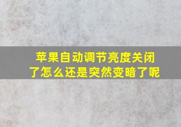 苹果自动调节亮度关闭了怎么还是突然变暗了呢