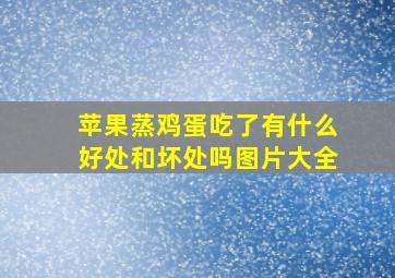 苹果蒸鸡蛋吃了有什么好处和坏处吗图片大全