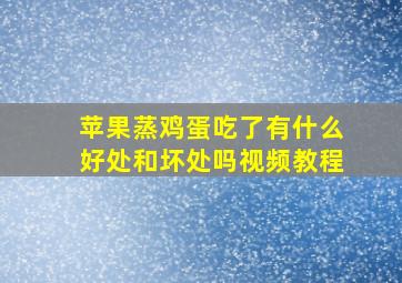 苹果蒸鸡蛋吃了有什么好处和坏处吗视频教程