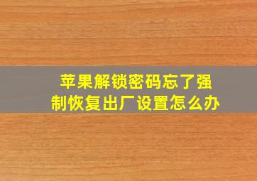 苹果解锁密码忘了强制恢复出厂设置怎么办