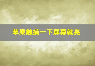 苹果触摸一下屏幕就亮