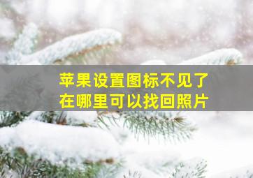 苹果设置图标不见了在哪里可以找回照片