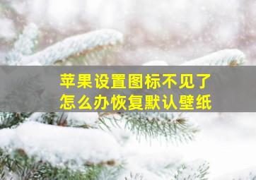 苹果设置图标不见了怎么办恢复默认壁纸