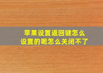 苹果设置返回键怎么设置的呢怎么关闭不了