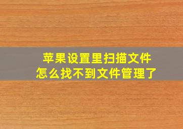 苹果设置里扫描文件怎么找不到文件管理了