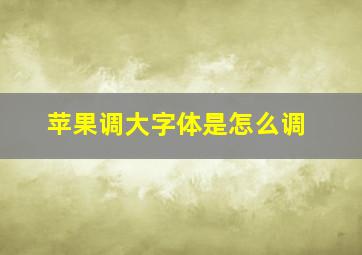 苹果调大字体是怎么调