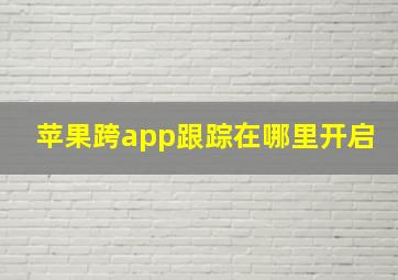 苹果跨app跟踪在哪里开启