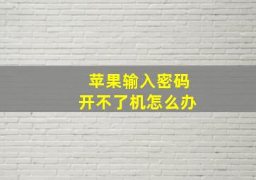 苹果输入密码开不了机怎么办