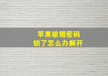 苹果输错密码锁了怎么办解开